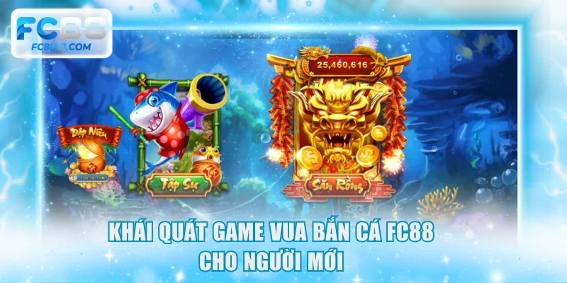 Khái quát game Vua Bắn Cá FC88 cho người mới