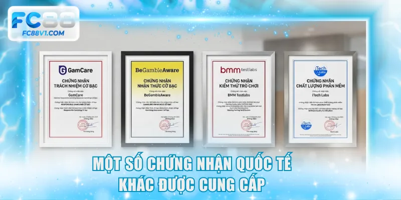 Một số chứng nhận quốc tế khác được cung cấp